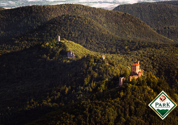 Burgen Trifels/Anebos und Münz, nahe Annweiler