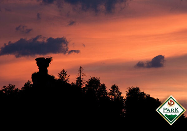 Drachenfels, bei Busenberg