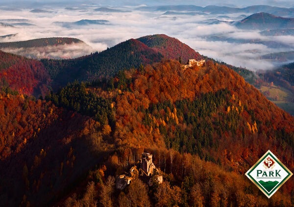 Hohenburg/Wegelnburg, zw. Schönau und Nothweiler