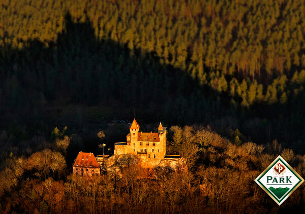 Burg Berwartstein, Erlenbach bei Dahn
